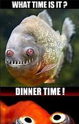 Image result for Creepy Meme Fish