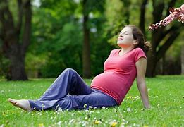 Image result for Cute Pregnancy Quotes