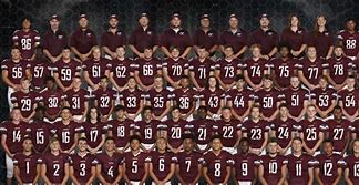 Image result for Loyalsock High School Cheerleading Team