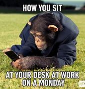 Image result for Monday Work Day Meme