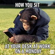 Image result for Monday Work at Home Meme