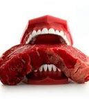 Image result for Meat Eater Teeth