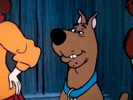 Image result for Scooby Doo Gang Funny Faces
