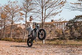 Image result for Fat Tire Electric 1000W Bike