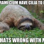 Image result for Sloth Monday Meme