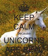 Image result for Unicorns Are Real Meme