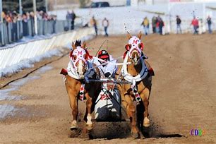 Image result for Modern Chariot Racing Competition