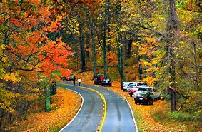 Image result for Skyland Skyline Drive