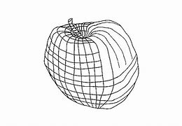 Image result for Apple Contour Drawing