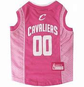 Image result for Cleveland Cavaliers Mascot