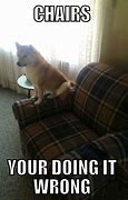 Image result for Free Couch Meme