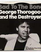 Image result for Bad to the Bone Computer