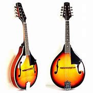Image result for Mandolin Musical Instrument