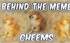 Image result for Chemes Meme
