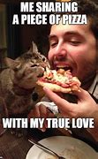 Image result for Funny Meme with Cat and Pizza
