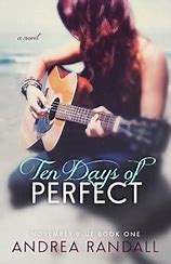 Image result for Ten Days of Perfect November Blue Book 1 Book