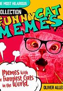 Image result for Cat Brain Meme