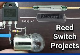Image result for Reed Relay Switch