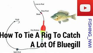 Image result for Basic Bluegill Rig