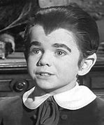 Image result for Butch Patrick as Eddie Munster