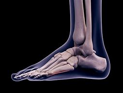 Image result for Ideo Ankle