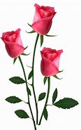 Image result for Pink Rose Clip Art