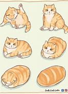 Image result for Cat Loaf Drawing