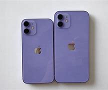 Image result for iPhone 12 Purple Vs. Green