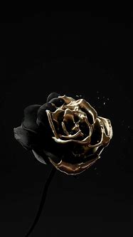 Image result for Dark Rose Gold Aesthetic
