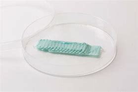 Image result for Gum Case 3D Print