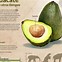 Image result for aguacatal