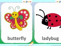 Image result for Butterfly Ladybug Bumblebee