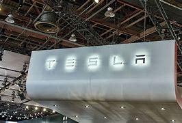 Image result for Tesla Logo Bat Signal