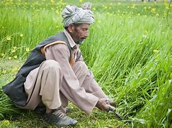 Image result for Farmer in Tractor