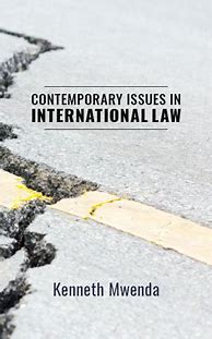 Image result for International Law Books