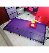 Image result for Guinea Pig Cage Shoppee