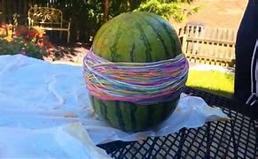 Image result for Exploding Watermelon