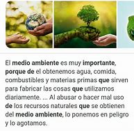 Image result for Que ES El Medio Ambiente
