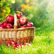 Image result for Apple Tree Background
