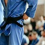 Image result for Brazilian Jiu Jitsu vs Japanese Jiu Jitsu