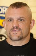 Image result for Top UFC Fighters