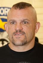 Image result for Greatest MMA Fighters of All Time