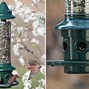 Image result for Squirrel Proof Bird Feeders