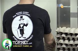 Image result for Top Hat Cricket