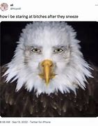 Image result for A High Person Staring Meme