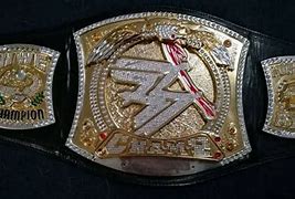 Image result for WWE Spinning Belt