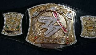 Image result for John Cena Spinner Belt Necklace