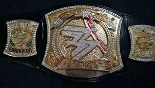 Image result for WWE John Cena PFP Spinner Belt