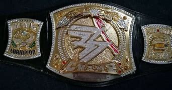 Image result for WWE Championship Spinner Belt