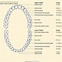 Image result for Dental Tooth Chart Printable